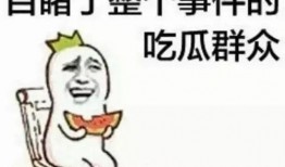 娱乐吃瓜酱安全气囊吐槽,娱乐吃瓜酱的吐槽与反思